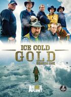 Ледяное золото (2013)